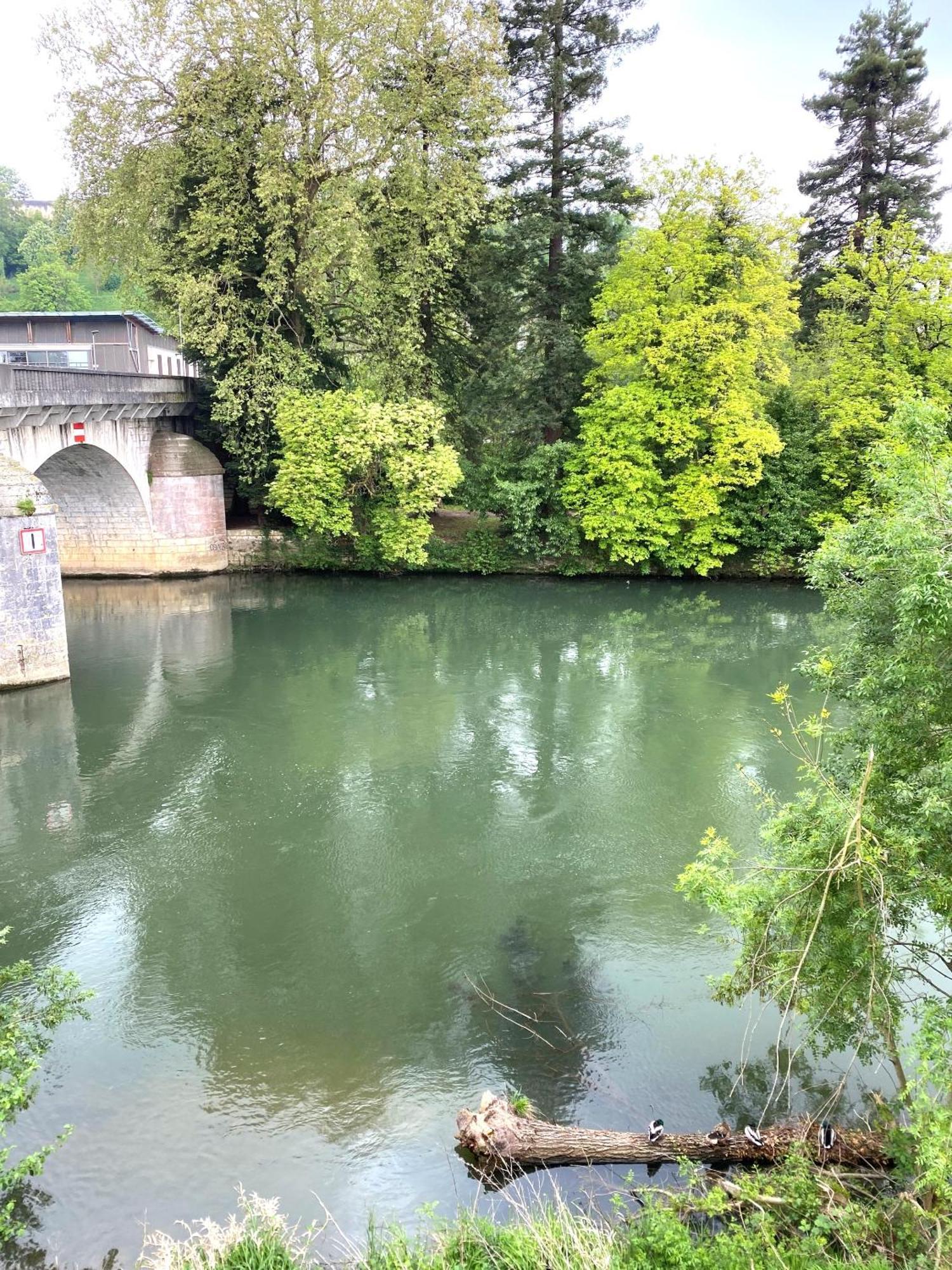 Confortable T2 Sur Les Rives De La Charente Ανγκουλέμ Εξωτερικό φωτογραφία